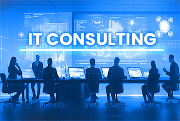 IT Consulting